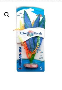 Colorburst Crispus Bl Sm