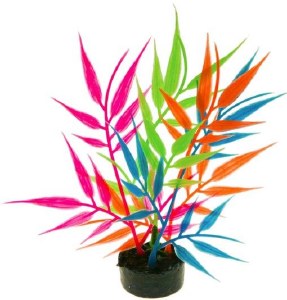 Colorburst Floral Needle Leaf