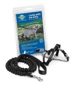 Come With Me Kitty Harness Md