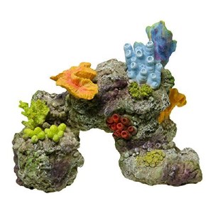 Coral Reef Rock Lg