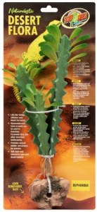 Desert Flora Euphorbia