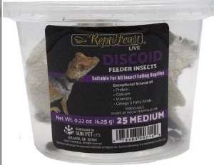 Discoid Medium 25ct