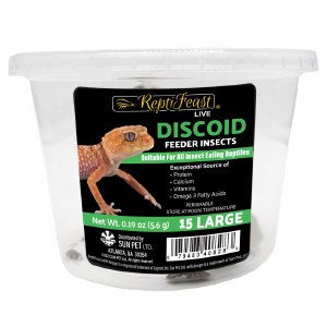Discoids Large 15ct