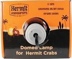 Dome Lamp Hermit Crab