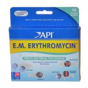 Erythromycin 10ct