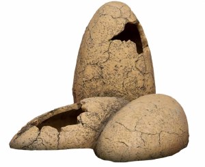 Exo Terra Dino Egg Fossil