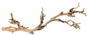 Exo Terra Forest Branch Lg