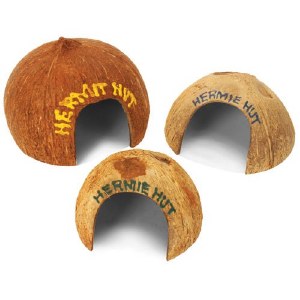 FMR Coconut House