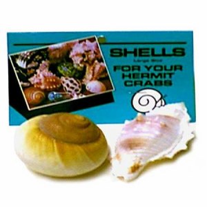 FMR Shells Large Package