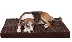 Furhaven Ortho Cushion Md Br