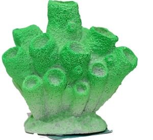 Green Sponge Coral