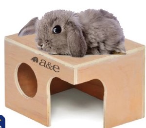 Guinea Rabbit XL