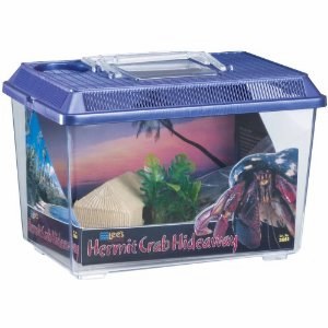 Hermit Crab HIDEAWAY