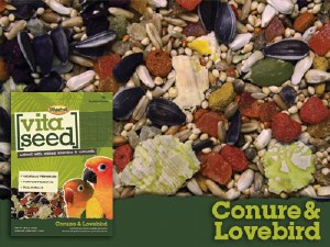 Higgins Vita Conur Lovebird 5#