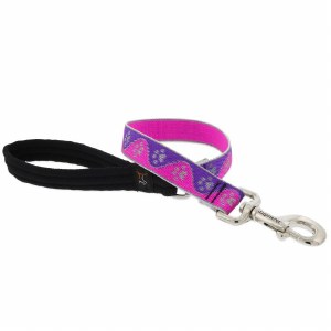 HL 1/2&quot; Pink Paws Lead 6'