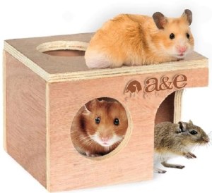 Hamster Gerbil Hut Md