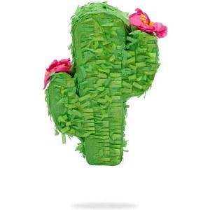 Happy Beaks Pinata Cactus