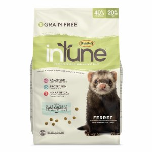 InTune Ferret Food 4#