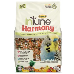 Intune Harmony Parakeet 2#