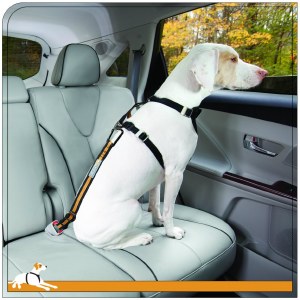 Kurgo Direct Seatbelt Tether