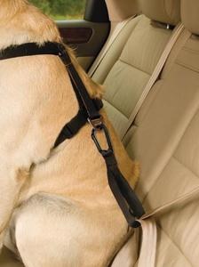 KURGO SEATBELT TETHER