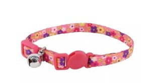 Kitten Safe Collar Daisy