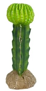 Komodo Cactus Moon 7.5"