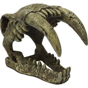 Komodo Hideout Raven Skull Lg