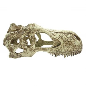 Komodo T Rex Skull XL