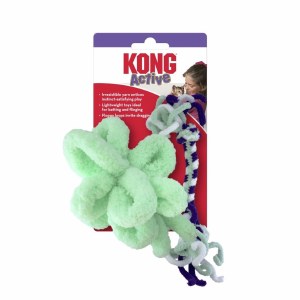Kong Cat Rope Mint Purp 2pk