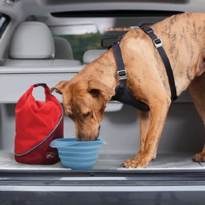 Kurgo Kibble Carrier Blue