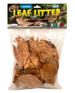 Leaf Litter Aquarium
