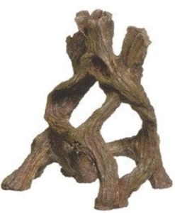 Marina Mangrove Root