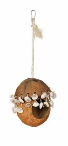 Natural Coco Hide With Shells