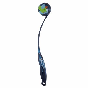 National Fetch Day Launcher