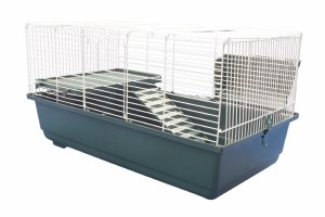 Nibbles Cage with Platform