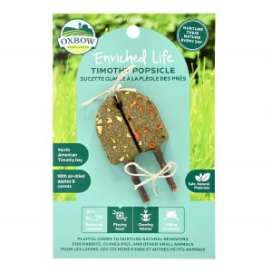 Oxbow Chews Popsicle