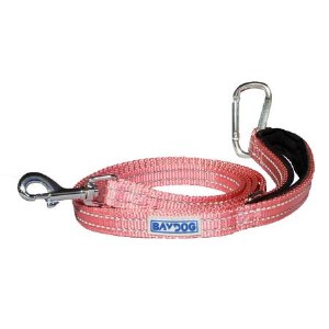 Pensacola Leash Pink 6'