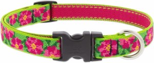 Petunias 13-22" Collar 3/4"