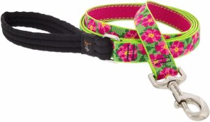Petunias1" Lead 4'