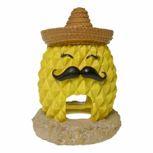 Pineapple Sombrero