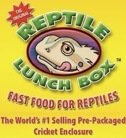 Reptile Lunch Box Crickets 24count