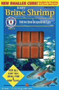 SFB BABY BRINE SHRIMP 50 GRAM