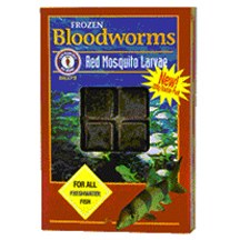 SFB BLOODWORM CUBE