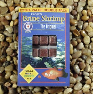 SFB Frozen Brine Cube 200 Gram