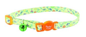 Safety Collar Happy Hour