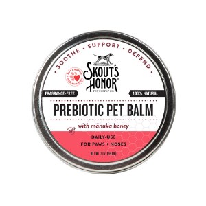 Skouts Honor Paw Balm