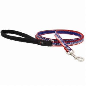 Stars &amp; Stripes 6' Lead 1&quot;