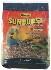 Sunburst Parakeet 2#