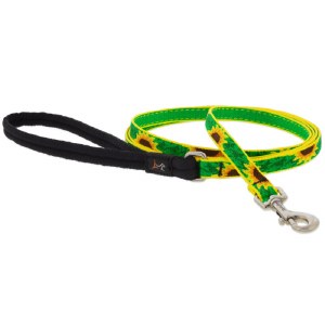 Sunflowers 1" Lead 4'